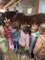 IMG_5107.jpeg